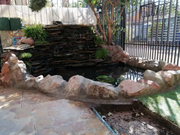 ESTANQUE PARA PECES KOI 3000L - Imagen 5