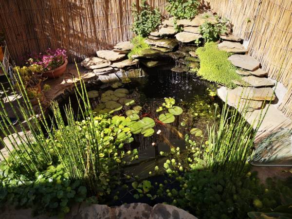 ESTANQUE PARA PECES KOI 3000L