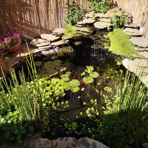 ESTANQUE PARA PECES KOI 3000L