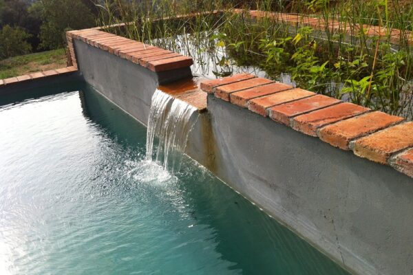 PISCINA NATURAL / ECOLÓGICA