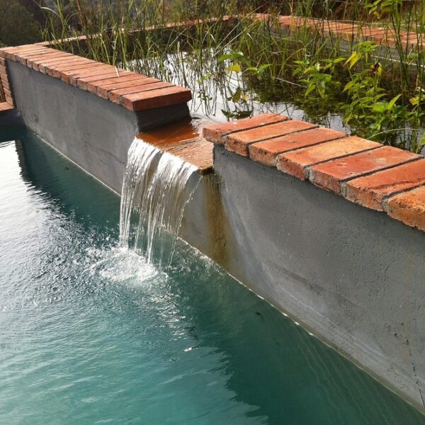PISCINA NATURAL / ECOLÓGICA
