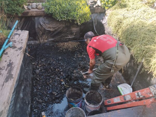 Mantención estanque ornamental hasta 2000 a 4500 L