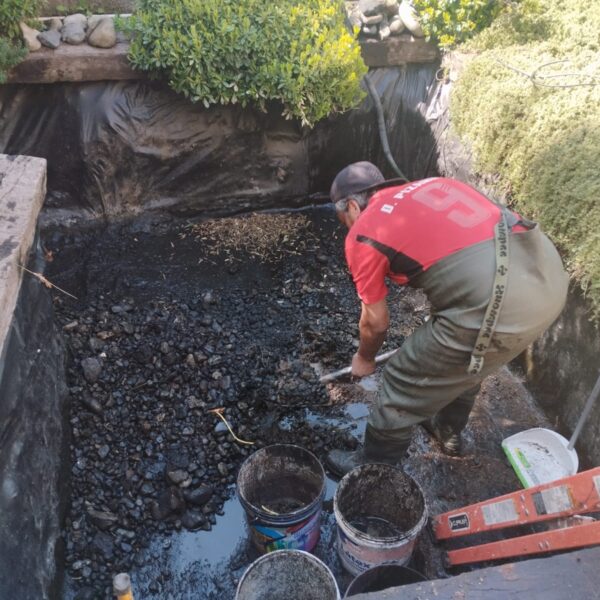 Mantención estanque ornamental hasta 2000 a 4500 L