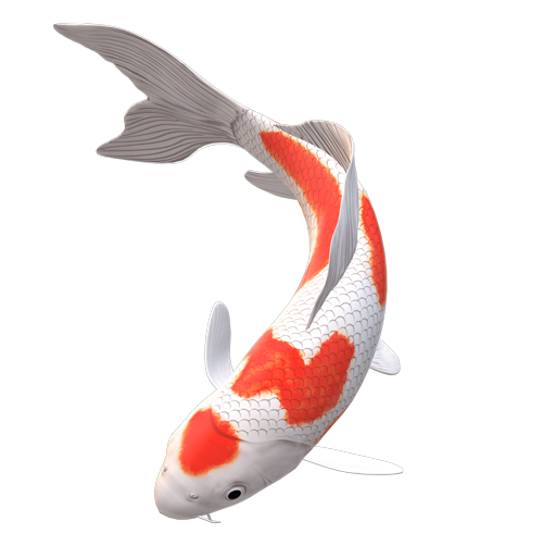 Peces para estanques