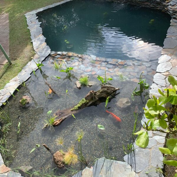 Piscinas Naturales Biológicas