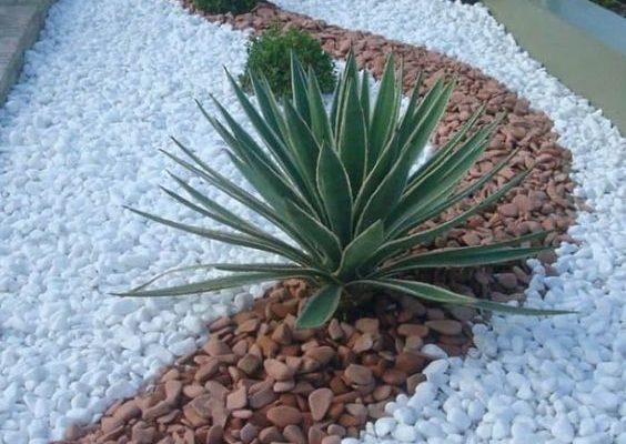Jardin-con-piedras-blancas-y-marrones Jardin-con-piedras-blancas-y-marrones