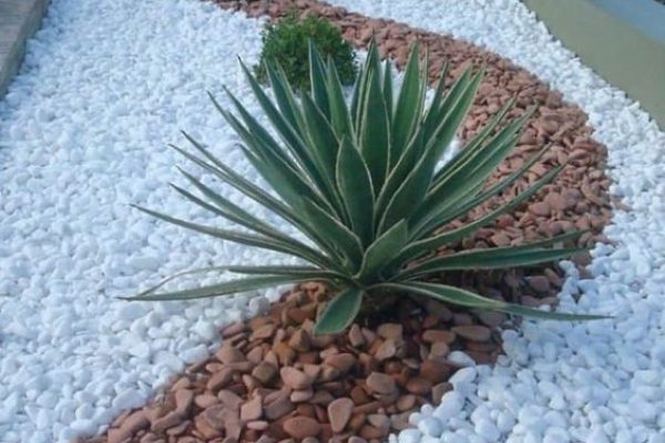 Jardin-con-piedras-blancas-y-marrones