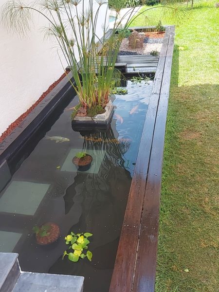 ARTE Y JARDINERÍA : Proyecto de un jardín acuático. Construcción de un  estanque